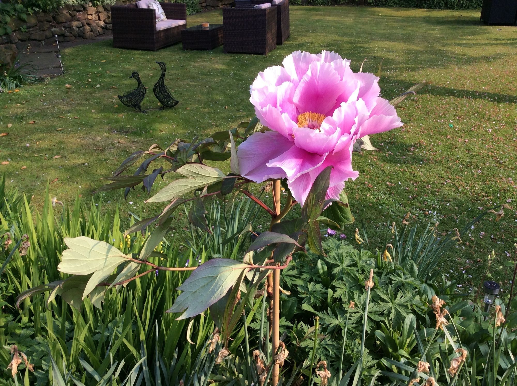 Willow Cottage B&B Yeadon Exteriér fotografie